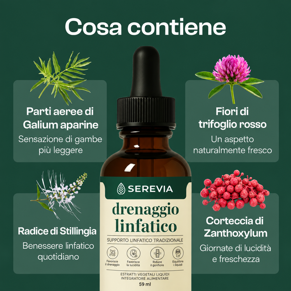 Serevia – ingredienti botanici