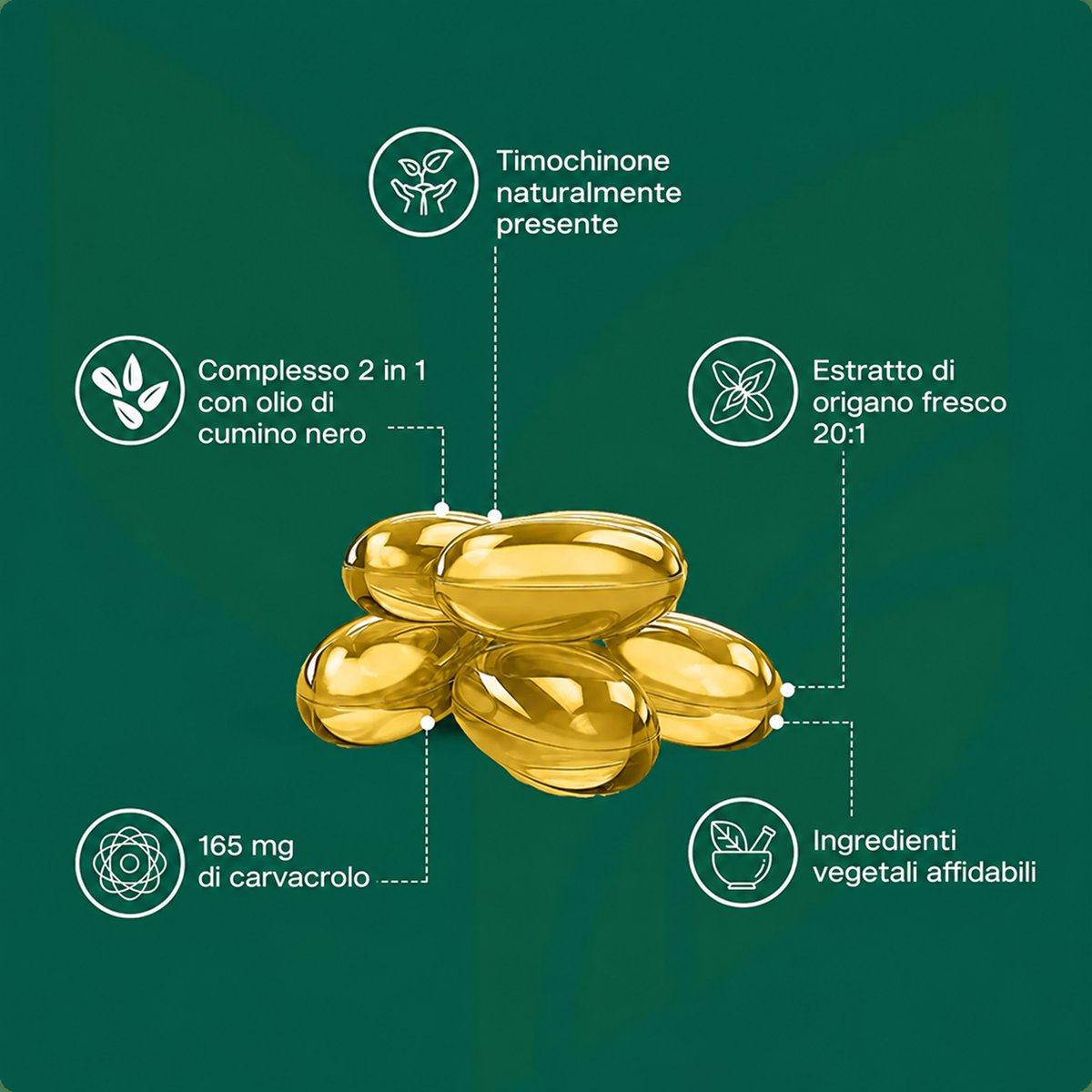 SEREVIA – Olio di origano con cumino nero | 60 capsule molli
