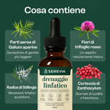 Serevia – ingredienti botanici